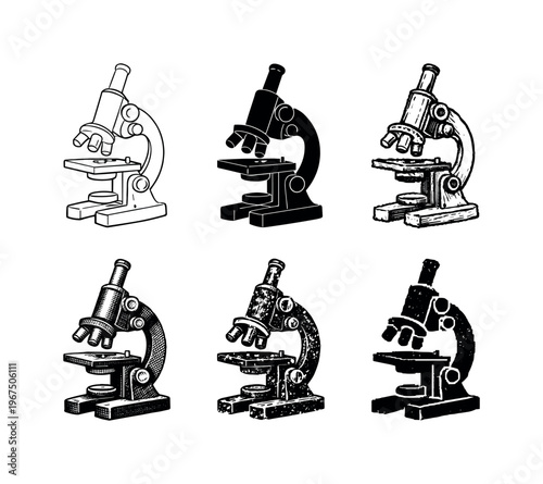 Compound microscope with adjustable focus knobs used for observing cells and microorganisms | Create ONE image containing EXACTLY