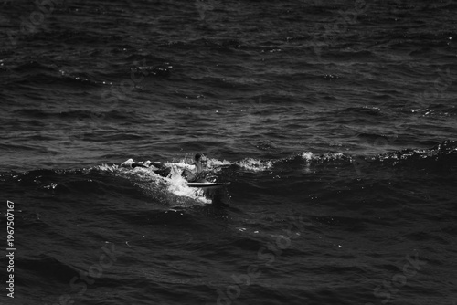 A beautiful girl surfs in a jumpsuit in the middle of the ocean waves