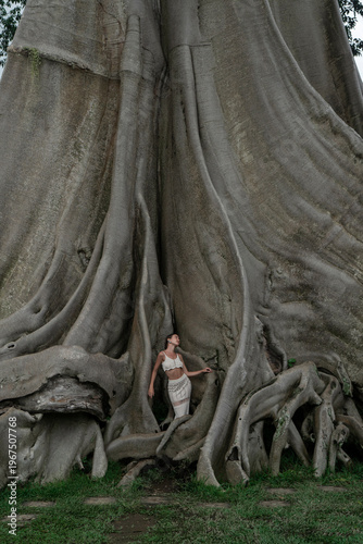 A beautiful girl in an elegant dress poses near an old tree