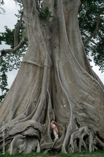 A beautiful girl in an elegant dress poses near an old tree