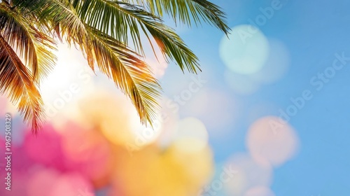 Sunlight Shines Through Palm Leaves Against a Colorful Sky in a Tropical Loca...