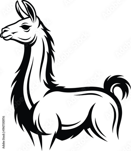 Black and white illustration of llama in profile standing alone