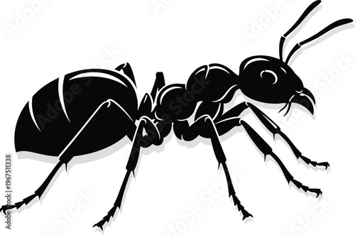 Black silhouette of an ant on white background side view