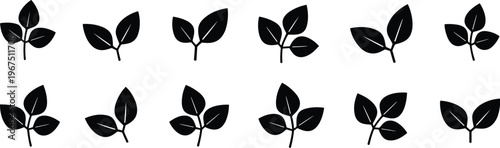 Collection of Black Leaf Icons in Various Orientations