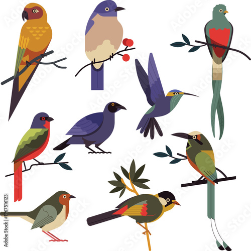 Set of flat featuring various colorful tropical and exotic birds perched on branches or flying in a collection against a plain white background