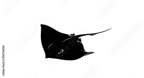 Silhouette of a graceful manta ray swimming in clear blue ocean water its large pectoral fins extended dorsal view isolated on a clean white background conveying aquatic life
