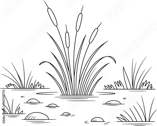 Cattail marsh plants with stones in water