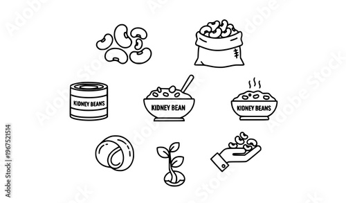 Kidney Bean Line Icons Collection with Food Agriculture Seed and Healthy Nutrition Symbols Vector