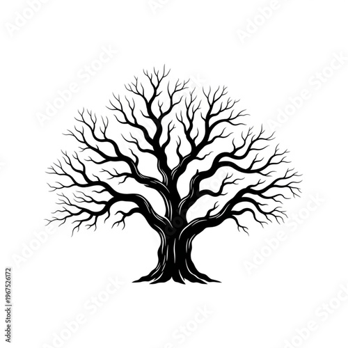 Bare Tree Silhouette with Twisted Branches.