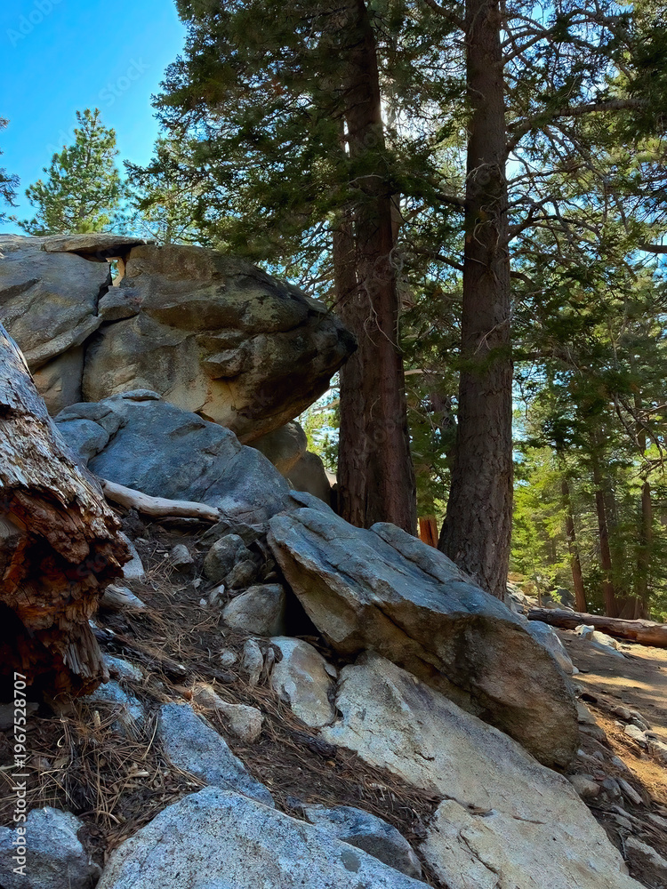Fototapeta premium San Bernardino National Forest