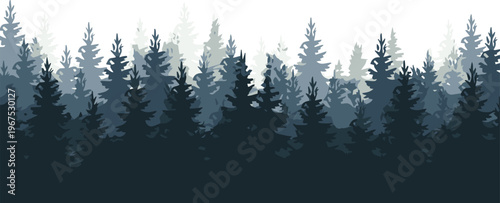 forest layered pine silhouettes in misty conifer landscape