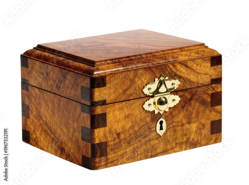 Принти на полотні Isolated exquisite handcrafted wooden jewelry box featuring rich burl wood and p