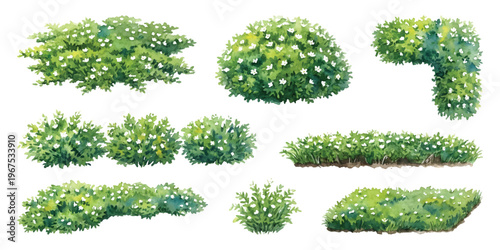 Watercolor set of low lying ground cover bushes grass and flowering hedges for architecture garden landscaping plan isolated on transparent background