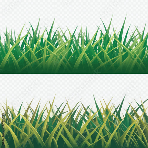 Green Grass and Dry Grass Vector Illustration Seamless Borders Isolated on Transparent Background