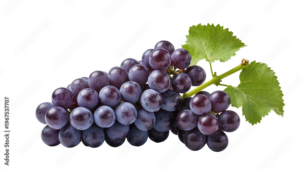 Fototapeta premium Dark purple grapes with green leaves, isolated on transparent background