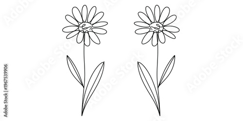 Two identical hand drawn daisy flowers with slender stems and leaves depicted in black line art