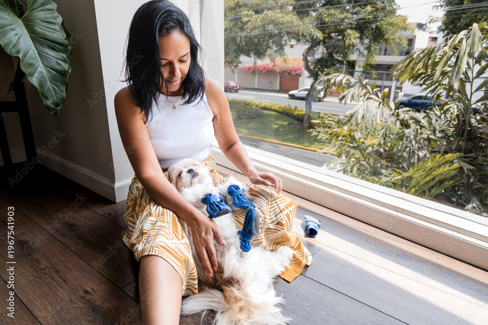 Tableau sur toile Woman putting blue protective shoes on her small dog at home