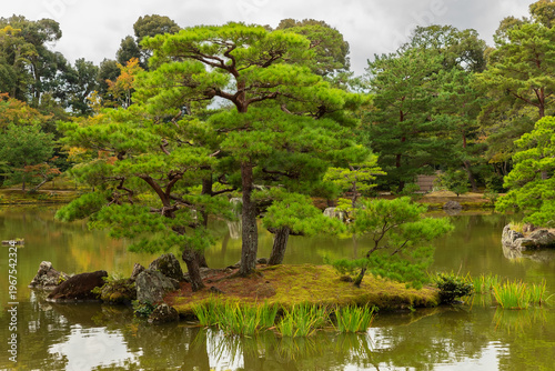 Fotografie Japanese garden and the pond at the Golden Temple (kinkakuji) in Kyoto, Japan