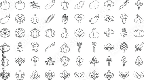 Vegetable icons set featuring fresh produce tomato carrot broccoli leafy greens line vector illustration minimal outline design collection healthy food concept pack