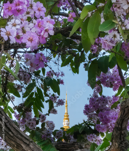 Fotografie Buddha spire of Royal Palace in Phnom Penh Cambodia framed in purple flowers