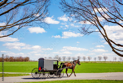 Amish horse and buggy on the road in scenic Lancaster, Pennsylvania