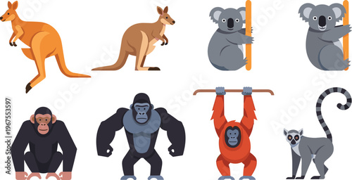 Australian Wildlife Animal Vector Set Kangaroo Koala Monkey Gorilla Orangutan Lemur