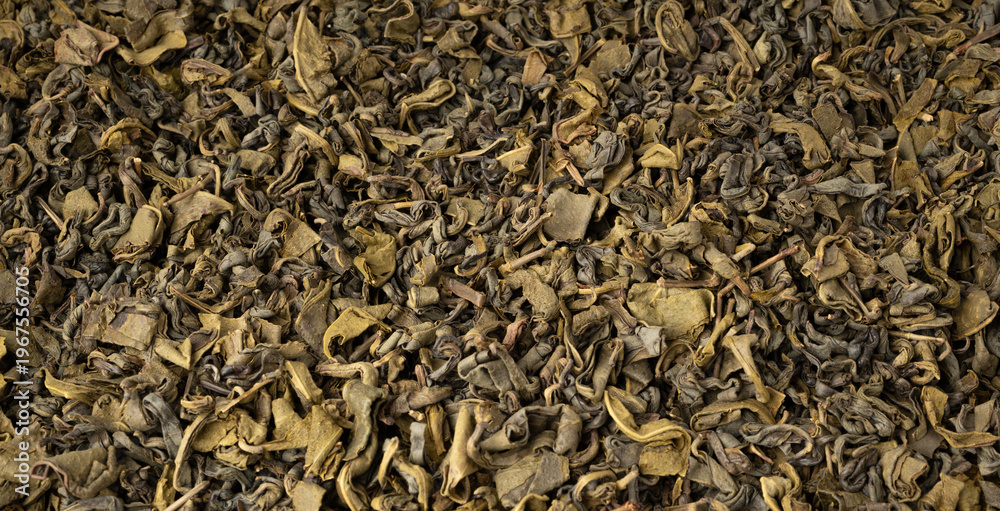 Fototapeta premium Green tea leaves macro textured background