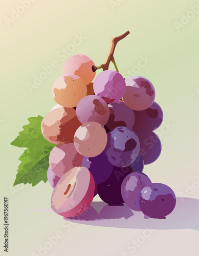  Uvas en racimo con estilo ilustrado y colores suaves sobre fondo neutro.

