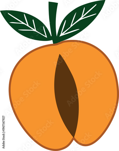 vector illustration of an apricot flat summer cute art Fruit Doodle Style
