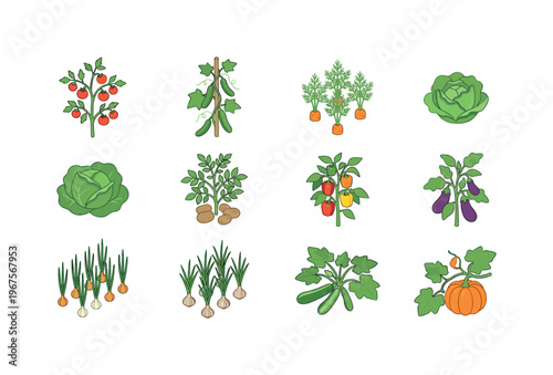 Collection of cartoon garden vegetables growing on plants