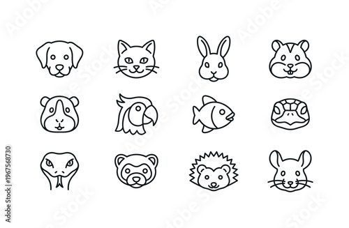 Dog head, cat head, rabbit head, hamster head, guinea pig head, parrot head, fish head, turtle head, snake head, ferret head,