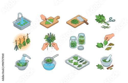 Herb preparation actions including washing herbs, cutting leaves, chopping greens, trimming stems, drying herbs, bundling herbs,
