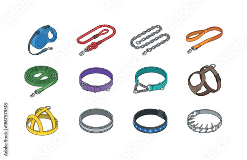 Types of leashes and collars including retractable leash, rope leash, chain leash, short leash, long leash, flat collar,