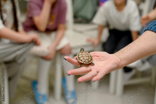Tableau sur toile Child education session with turtle held by teacher in classroom setting