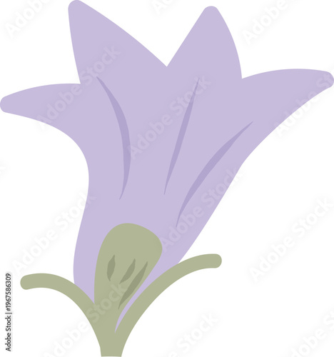 Bellflower Bloom Side View Cartoon