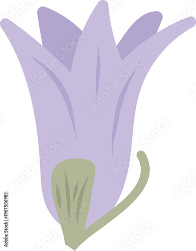 Bellflower Bloom Botanical Cartoon