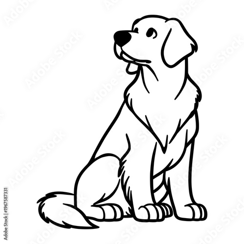 Golden Retriever Sitting