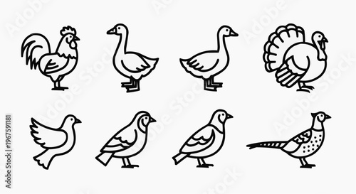 Set of assorted bird outline icons, featuring various species against a neutral backdrop