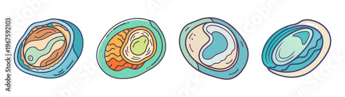 Four colorful abstract cells or orbs on a with swirling patterns