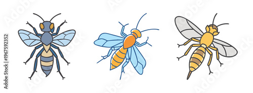 Three colorful wasp insects with different patterns and wings