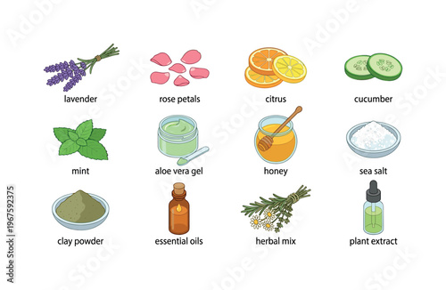 Natural spa ingredients for homemade beauty treatments and skincare