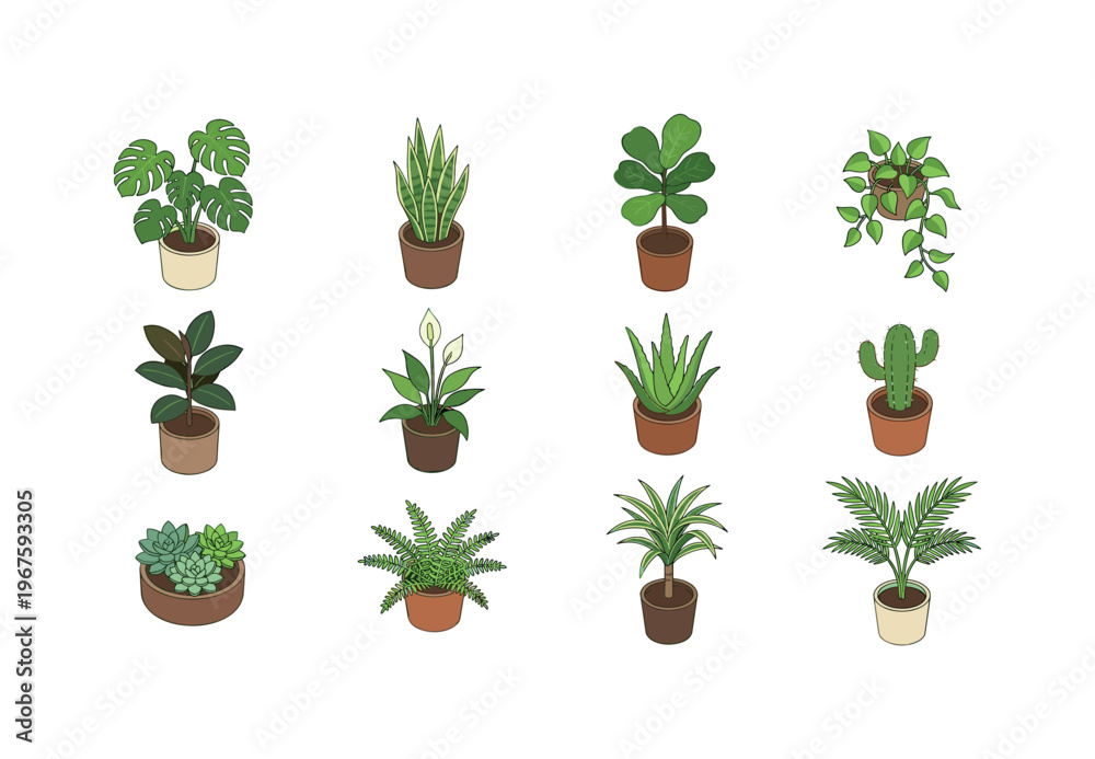 Fototapeta premium Collection of twelve popular houseplants in isometric illustration style