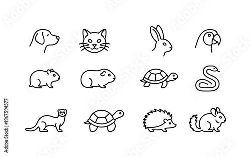 Dog, cat, rabbit, hamster, guinea pig, parrot, fish, turtle, snake, ferret, hedgehog, chinchilla. Show exactly 12 separate icons,