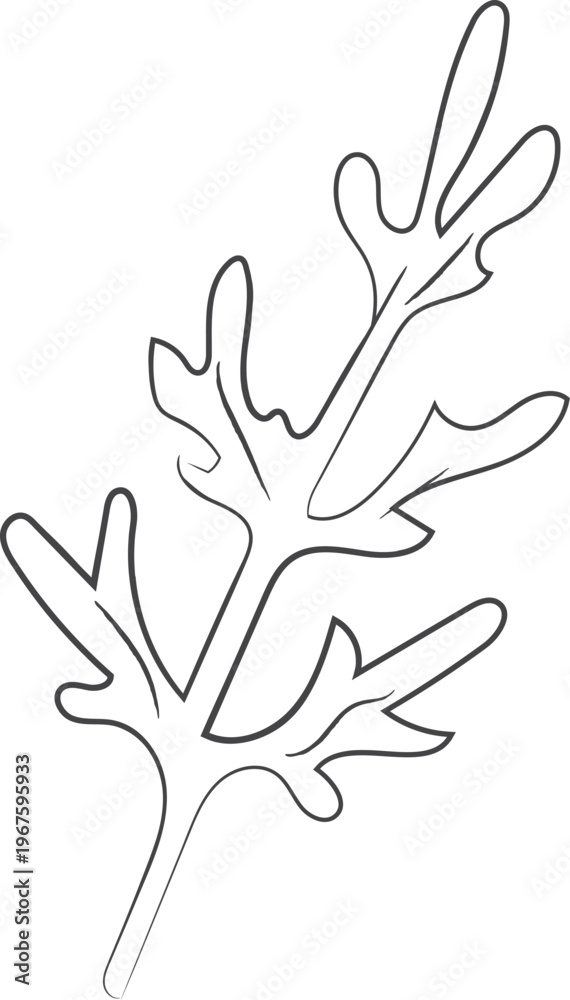 Obraz premium Arugula Leaf Outline Sketch