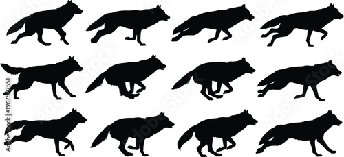 Running wolf silhouettes collection featuring diverse predatory movement poses in black profile icons isolated on white background for wildlife nature design graphic projects.