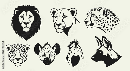 Animal head illustration collection featuring lions leopards cheetahs and big cats.