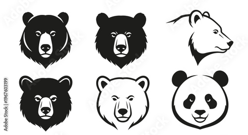 Collection of bear head illustrations in various styles and poses.