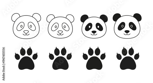 Panda Portraits And Paw Prints Close Up.