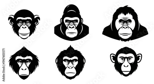 Series of Ape and Monkey Portraits Silhouettes.