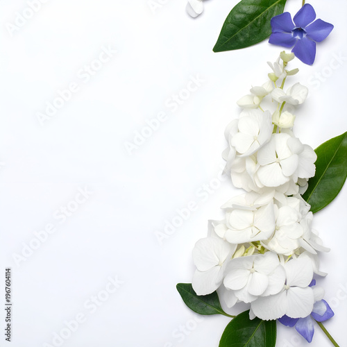 Elegant Floral Arrangement on White Background for Creative Projects.